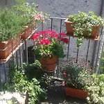 Apartment San Carlo Chiavenna