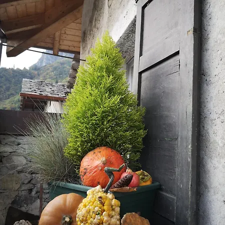 Apartment San Carlo *